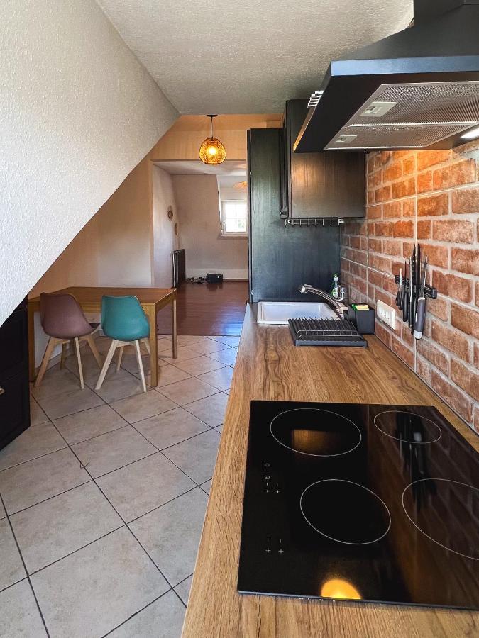 Appart'Hotel Le Dornach - Proche Gare Et Autoroute Mulhouse Exterior foto